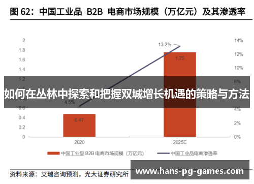 如何在丛林中探索和把握双城增长机遇的策略与方法