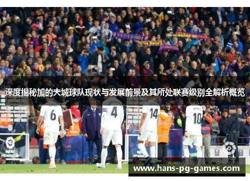 深度揭秘加的夫城球队现状与发展前景及其所处联赛级别全解析概览