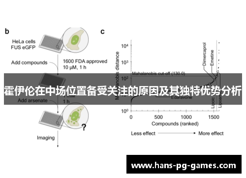 霍伊伦在中场位置备受关注的原因及其独特优势分析